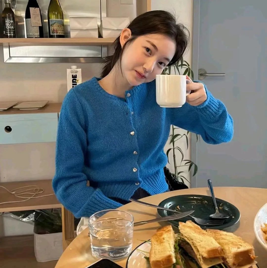 飞行之翼